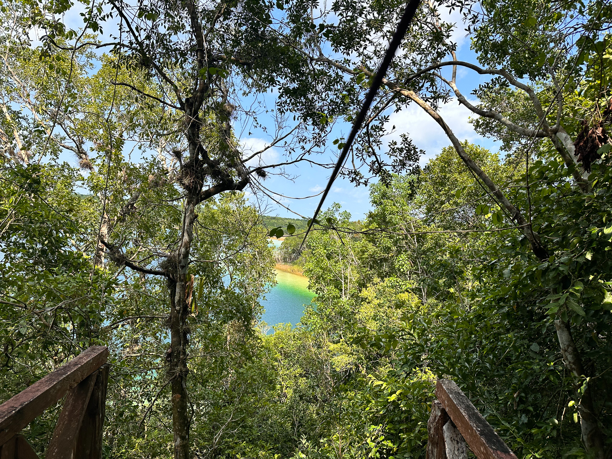 Coba nature